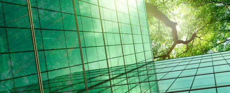 consommateur éco-conscient